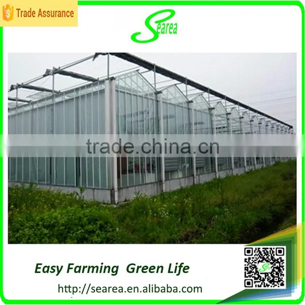Modern Agricultural Equipments Glass Commercial Greenhouses photo-3