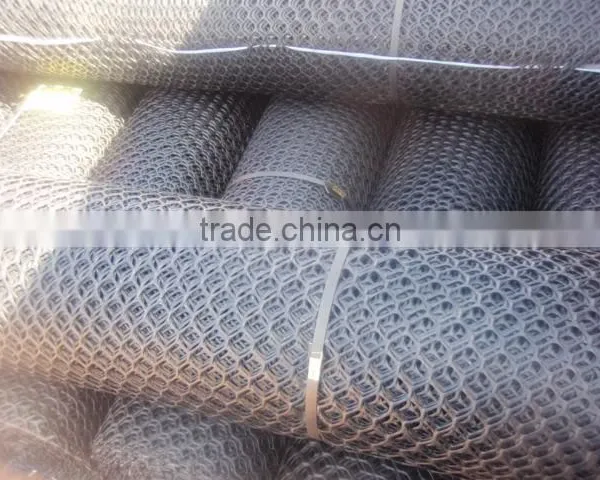Agriculture Plastic Flat Net/PP PE Palstic Netting