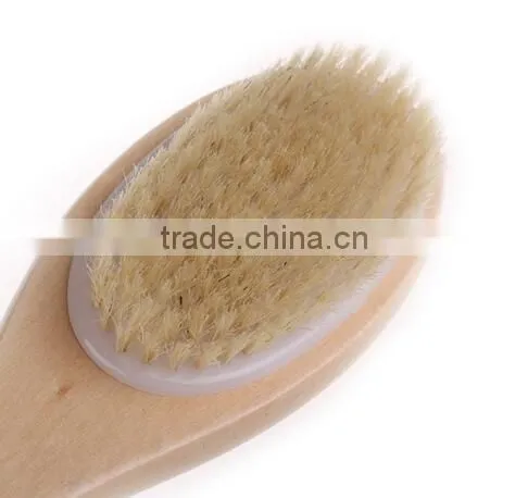 Cy303 Double Side Cellulite Circulation Massage Brush Bristle Brush photo-2