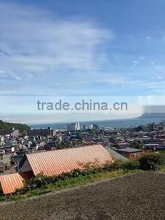 Land for Sale in Otaru, Hokkaido, Japan photo-2