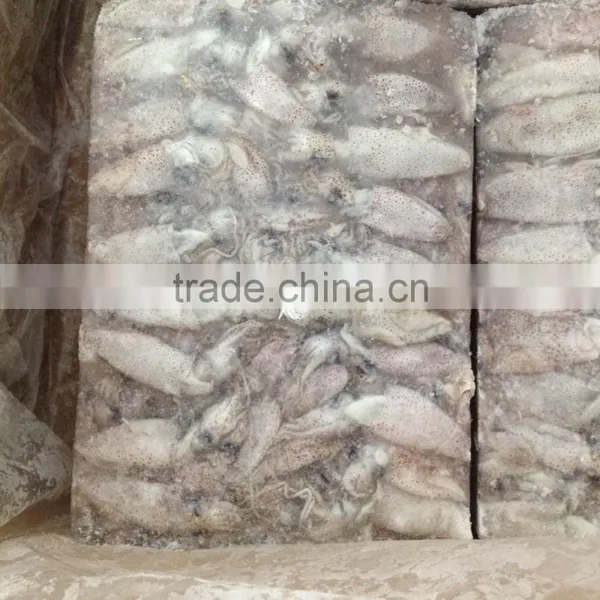 Hot Sale Whole Round Frozen Baby Squid photo-3