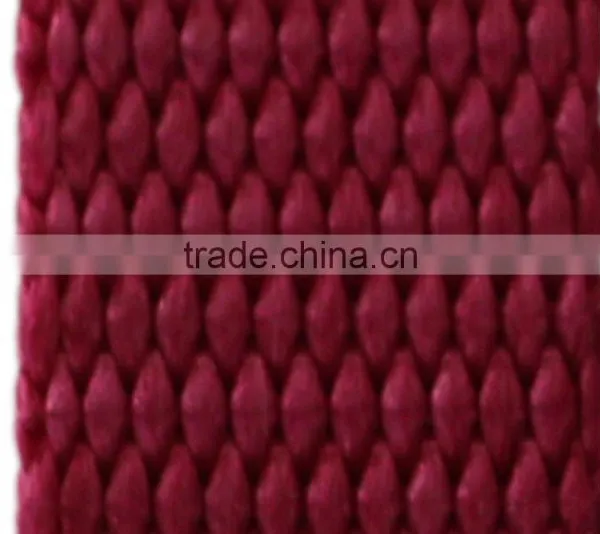 Fashion Garment Assessory Nylon Webbing, 5/8 Inch Custom Nylon Webbing for High Quality, Customized Colorful Nylon Webbing photo-3