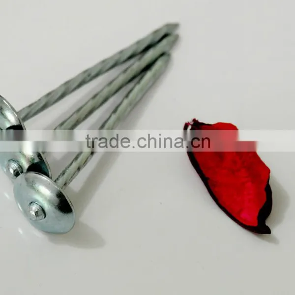 Zinc Roofing Nails for Kenya Market photo-6