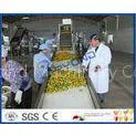 Complete Turn Key Project Mango Fruit Juice Processing Line High Engery Saving
