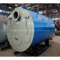 WNS Oil(gas) Fired Steam Boiler Supplier