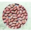 Fresh Peanuts