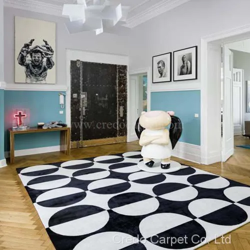 China Black and White Color Modern Design Acrylic Hand Tufted Area Rug (CR14)