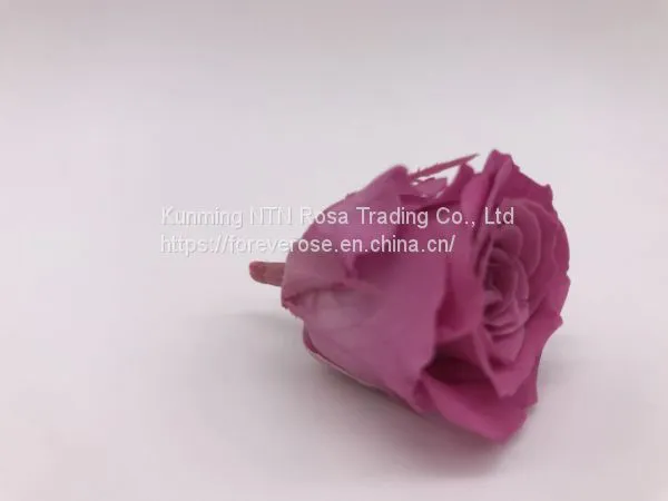 Preserved Rose Flowers for Wedding Decoration Flower Arrangement photo-2