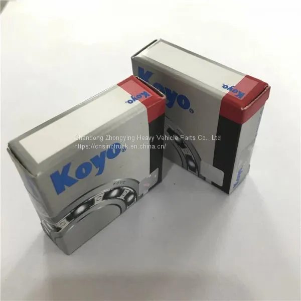 Stainless Steel Bearing Seals Deep Groove Ball Bearing SKF KOYO NSK FAG