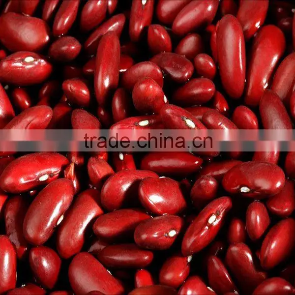 Organic Britain Red Kidney Bean
