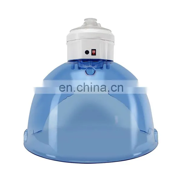 3 in 1 Steamer Blue and Red PDT Hydrogen Oxygen Dome Mask Beauty Machine photo-2