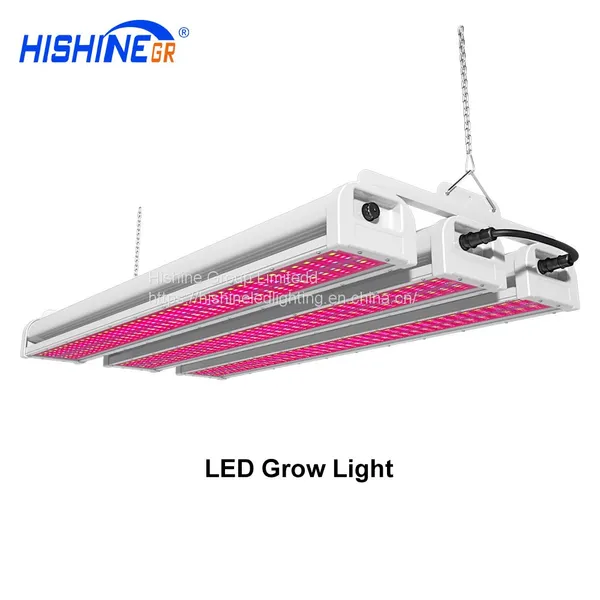 hishine PG01 200 Вт