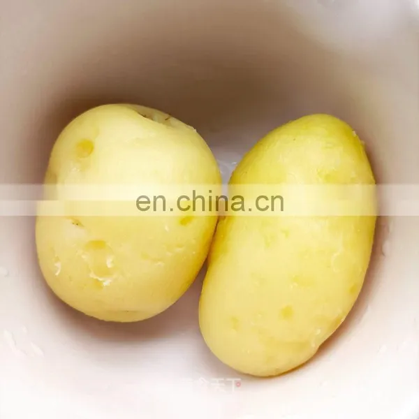 Industrial High Pressure Potato Instant Steam Peeling Machine for Frozen French Fries photo-2