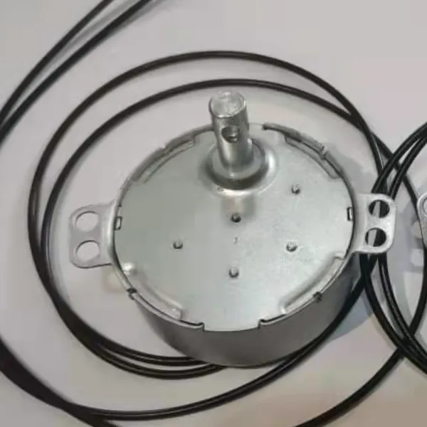 Two Hole Shaft, Nylon Gear， Synchronous Motor Model 49TYJ (B02)