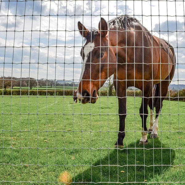 Heavy Duty High Tensile Cattle Fence Anti‑Rust Sheep Goat Horse Fencing