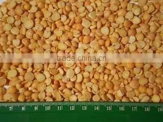 Yellow Split Peas Ukraine photo-3
