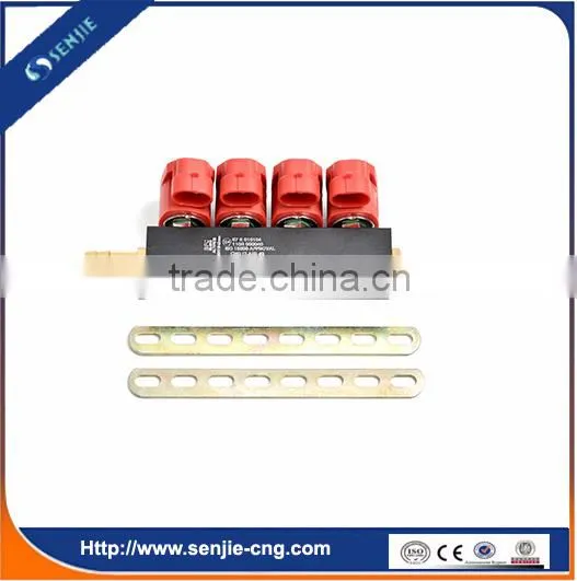 High Quality Cng Injector Rail Nozzle for Cars photo-2