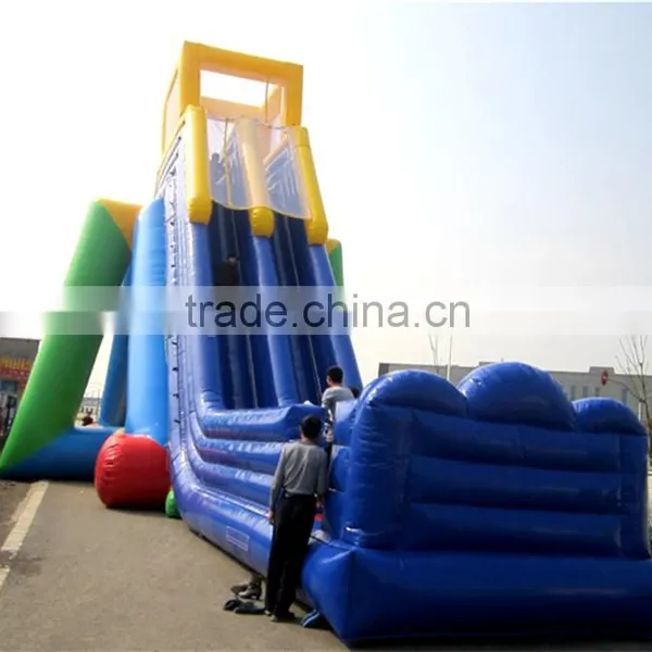 Lanqu Inflatable Gaint Slideways/water Slide for Adults photo-2