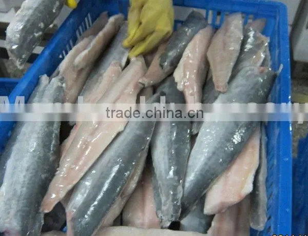 Frozen Spanish Mackerel Fillet