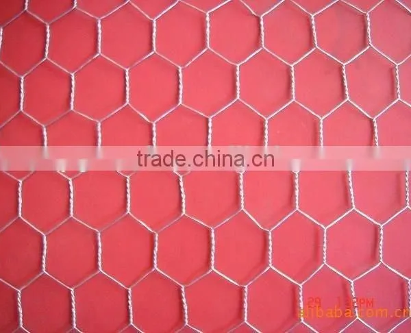 Galvanized, Pvc Coated Hexagonal Wire Mesh, Chicken Mesh Fence, Twisted Mesh photo-2