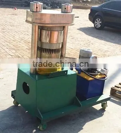 Hot Sale DL-ZYJ01Y Small Olive Oil Press for Sale photo-2