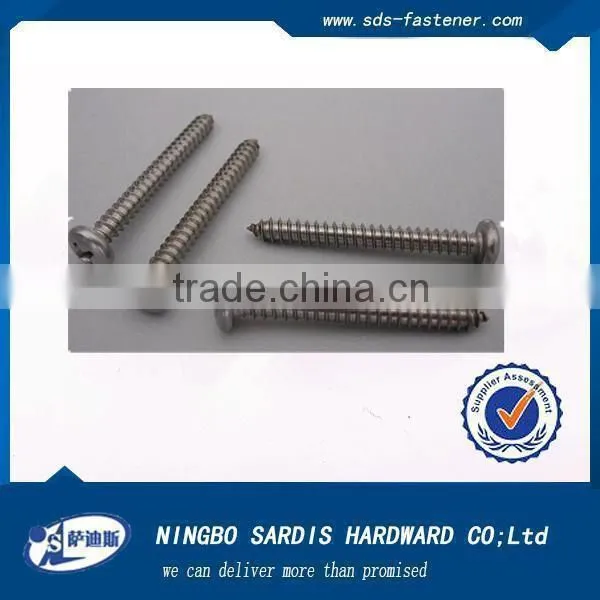 China Factory&manufacturer Rigging Screw Galvanized Bling Self Tapping Screw photo-3