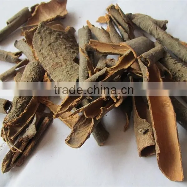 Rou Gui Broken Split Cassia Tube Cassia b Grade