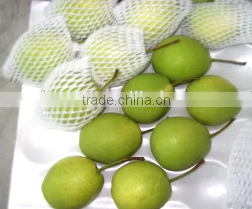 Shandong Pear photo-3