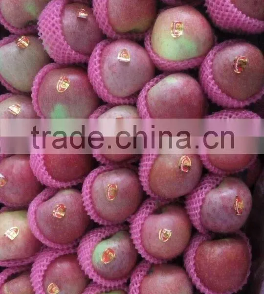 Unbagged Qinguan Apple