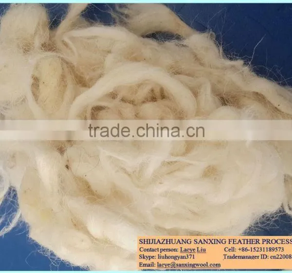 Hot Sale of Fleece Wool for Carpet Yarn Spinning photo-2