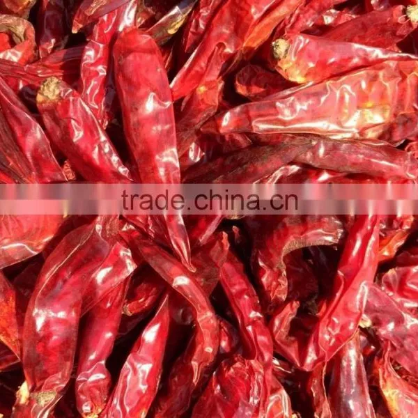 Dried Chilli photo-6