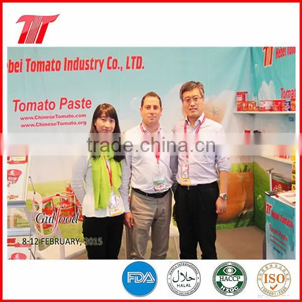 70g Wholesale Bags Tomato Sauce of Fine Tom Brand photo-6