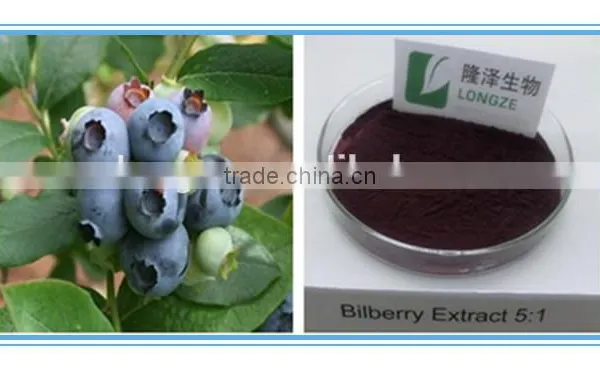 Professional Manufactory Supply Chinese Bilberry P.E/ Blueberry Spray-dried Fruit Powder Free Sample Supplied photo-2