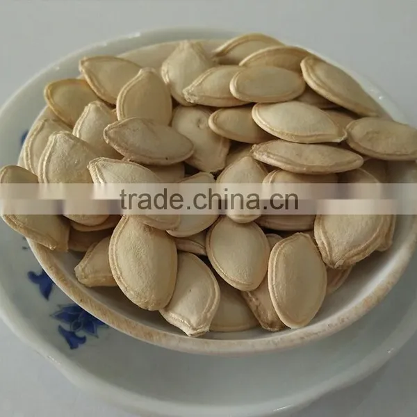 Organic Pumpkin Seeds Shine Skin 10,11-13MM photo-3