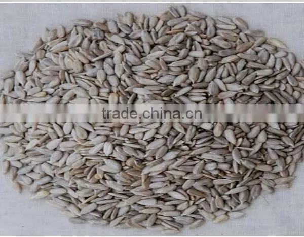 Organic Bulk Sunflower Kernels Big Size Facotry Sell to Buyers photo-4