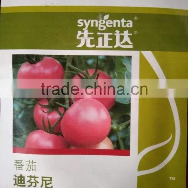 Syngenta Seed Tomato Hybrid Tomato Seeds Pink Tomato Seeds