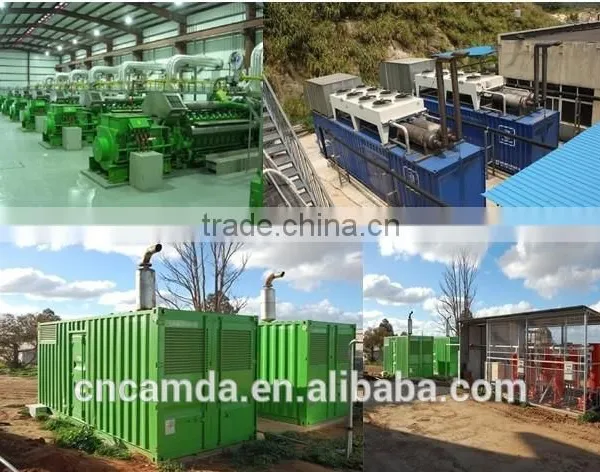 Camda Lpg Generator/Gas Generator 24kw/Power Plant photo-2