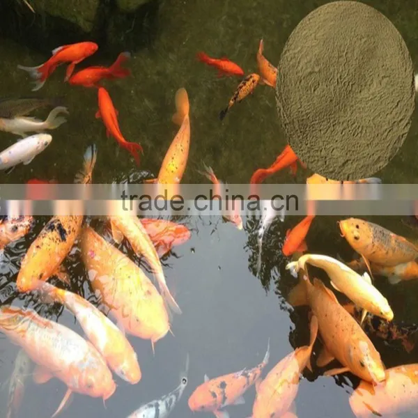 Animals Feed Supplement Kelp Meal photo-6