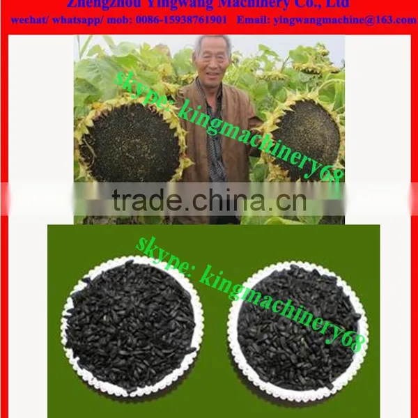 Oil Sunflower Seeds Processing Machine photo-2