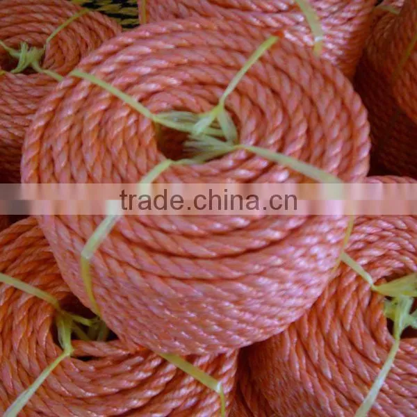 High Quality Hot Sale 3 Strand Twisted PP Rope photo-5