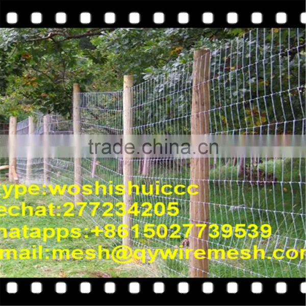 Hot Dip Galvanized Sheep and Goat Farming Fence photo-2