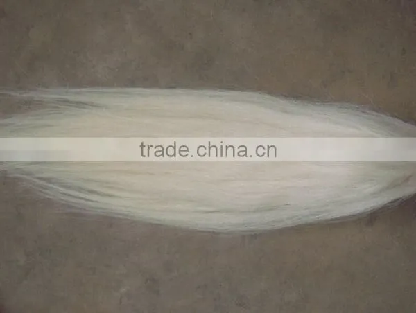 100% Natural Horse Tail Hairs for Hot Selling photo-3