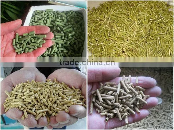 Professional Grass Pellets Making Machine photo-5