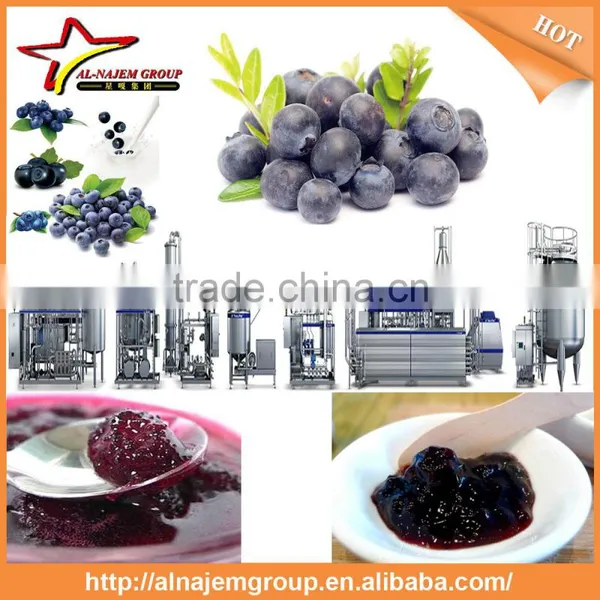 Hot Hot Full Automatic Industrial Blueberry Jam Maker Machine High Viscosity Production Line photo-4