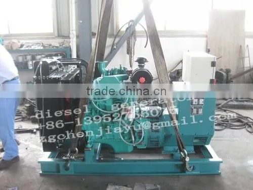 Diesel engine generator