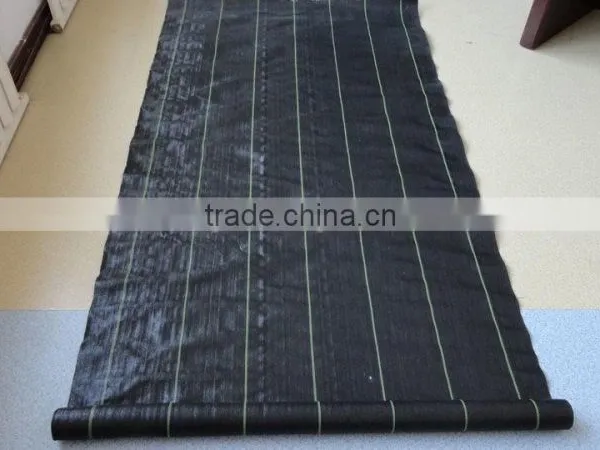 PP Ground Cover, PP Weed Mat,PP Weed Control Mat photo-3