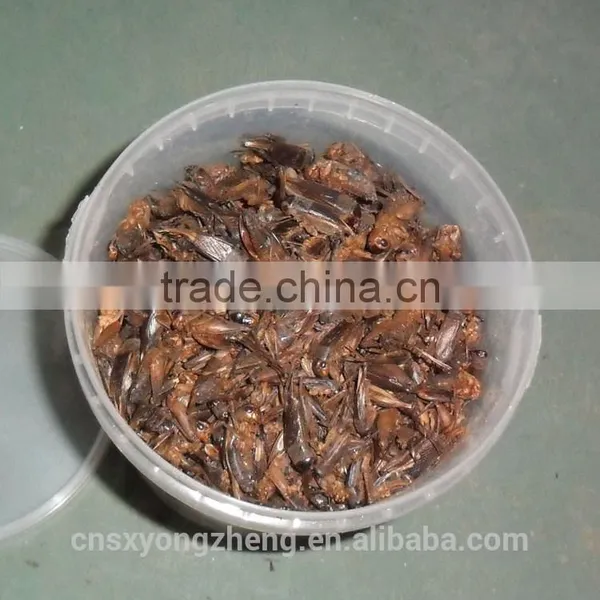 Pet Food Fish Food Freeze Dried Crickets photo-5