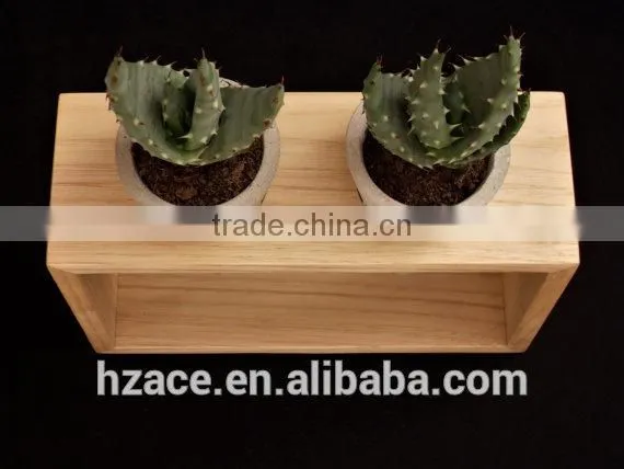 Concrete Mini Planters in Wooden Frame photo-2