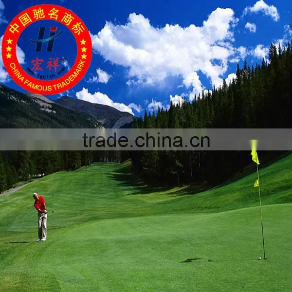 High Strength Plastic Used in the Golf Course Grass Grid
