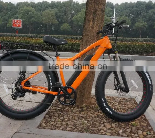 2016 Best Seller Electric Bike Big Power 48V 750W Electric Fat Bicycle photo-3